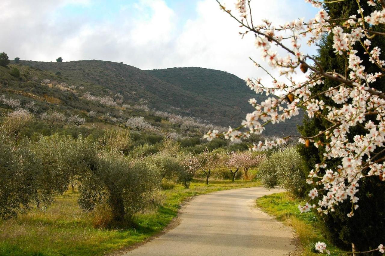 Bédar Casa Lago מראה חיצוני תמונה
